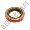 BERGKRAFT BK8500863 Shaft Seal, differential